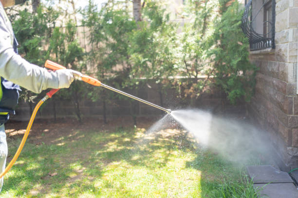 Best Bee and Wasp Removal  in Pinckney, MI